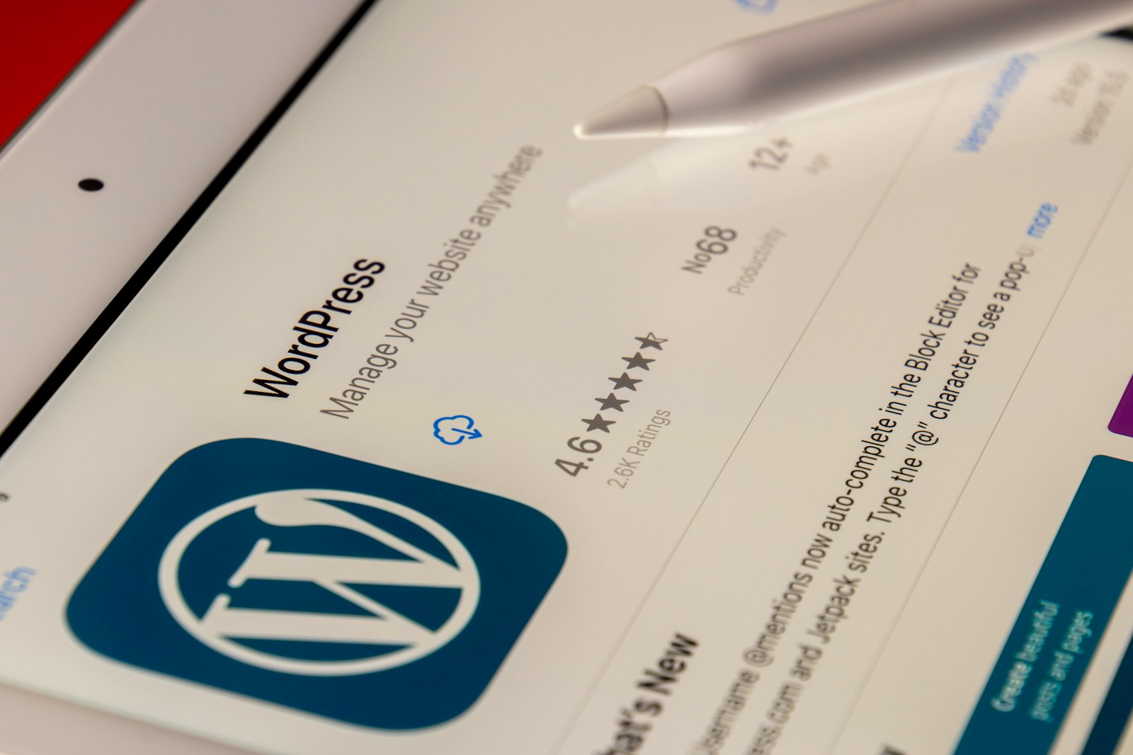 What is WordPress?